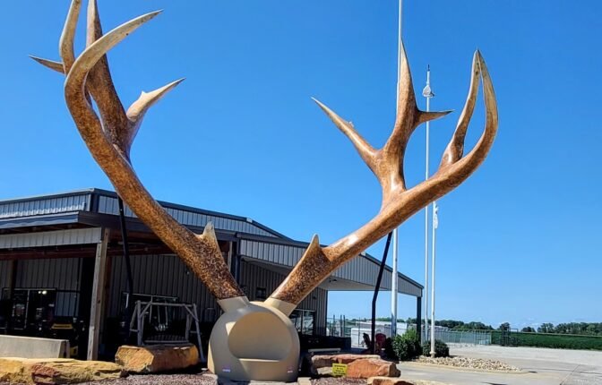 Big Antlers