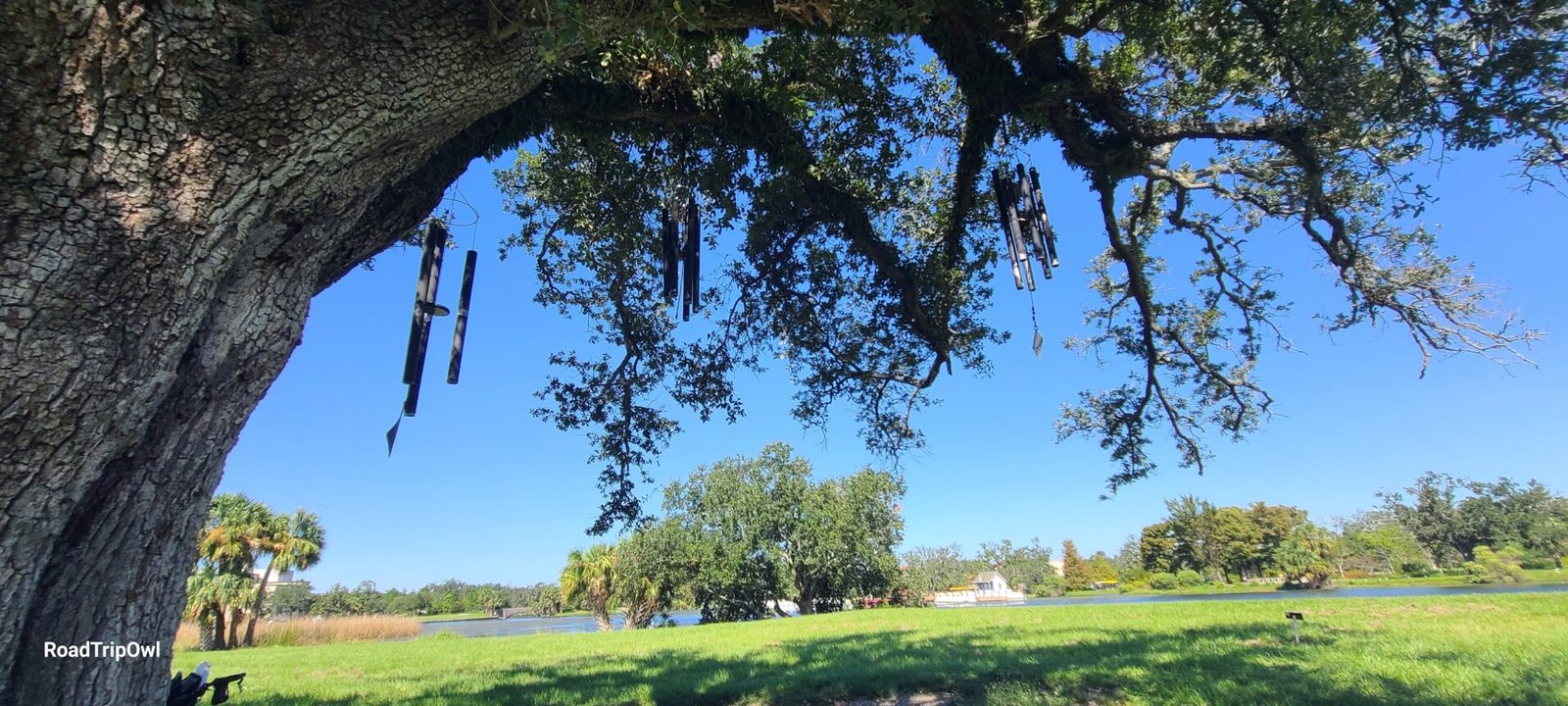 wind chimes