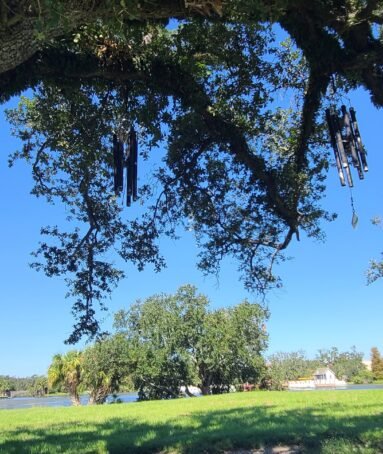 wind chimes