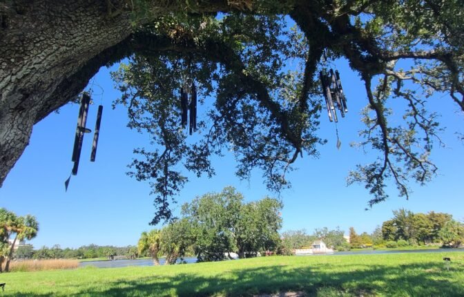 wind chimes