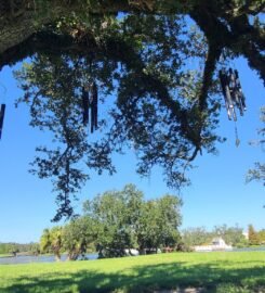 The Singing Oak