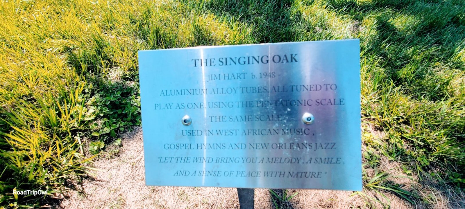 the singing oak sign