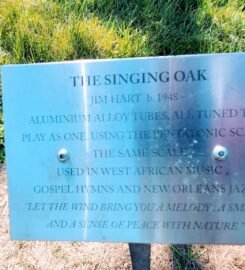 The Singing Oak