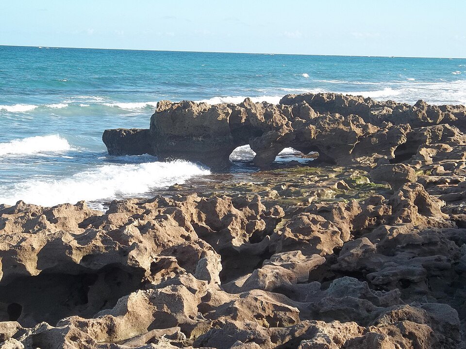 ROCKY SHOREline at Coral Cove Park: Beach in Jupiter FL