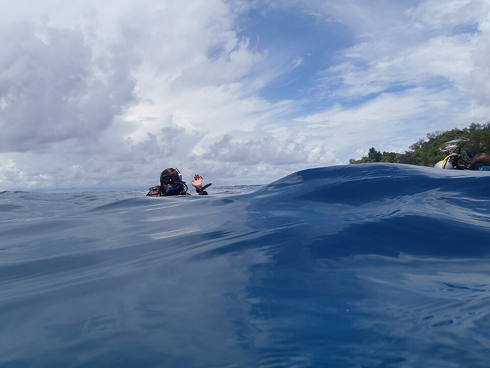 Guy waving while snorkeling