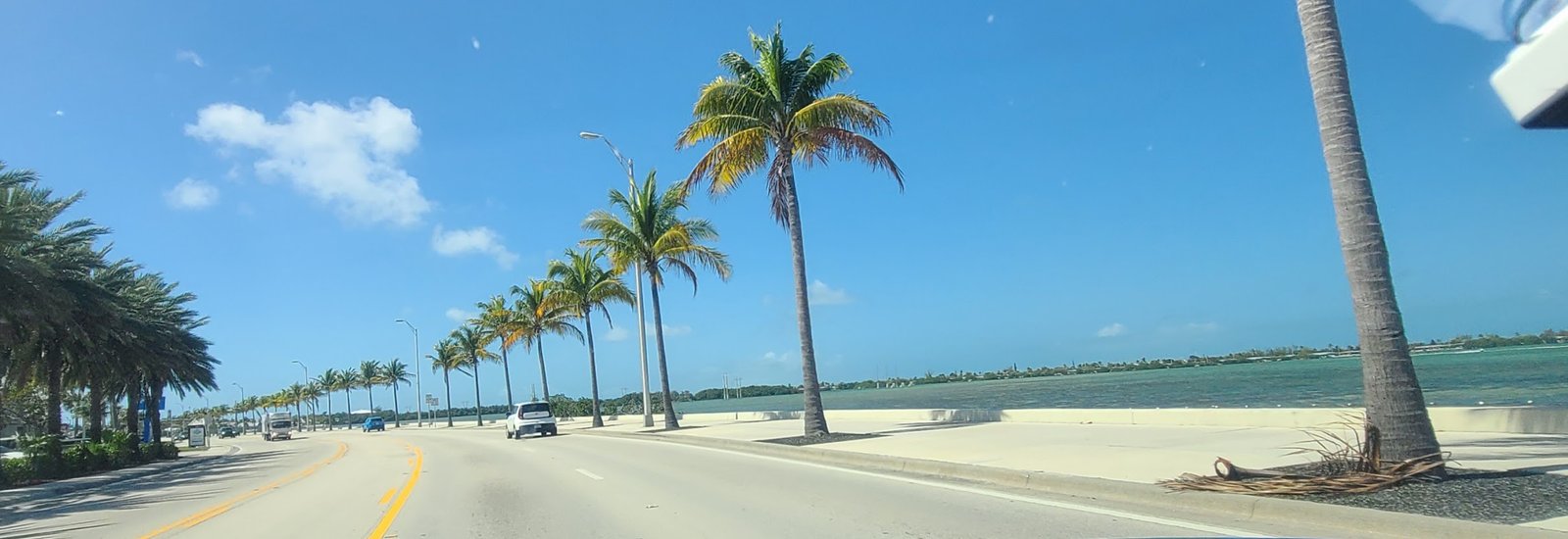 Key west drive road lined with palm trees
