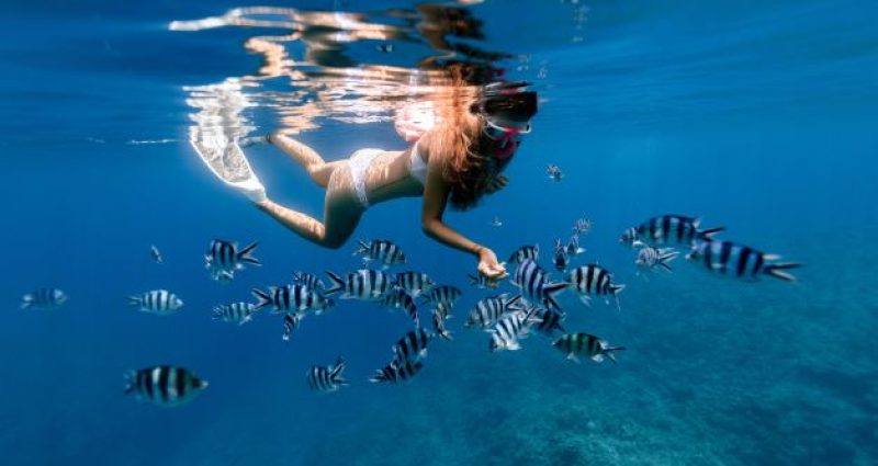 9 Free Snorkeling Destinations in Sunny Florida!