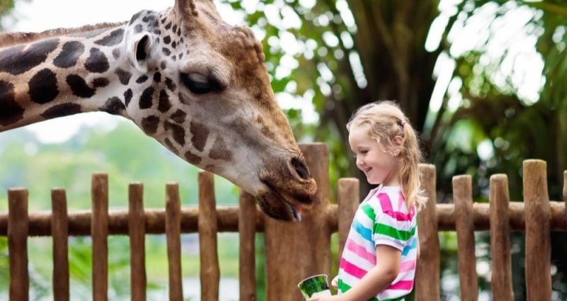 Best zoo's to visit and see