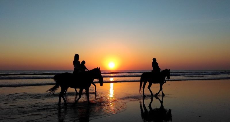 Horseback Riding on a Beach